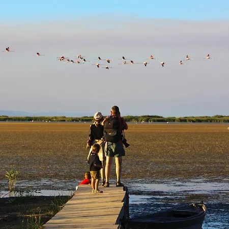 度假居 Casa Josep 卡马尔莱斯
